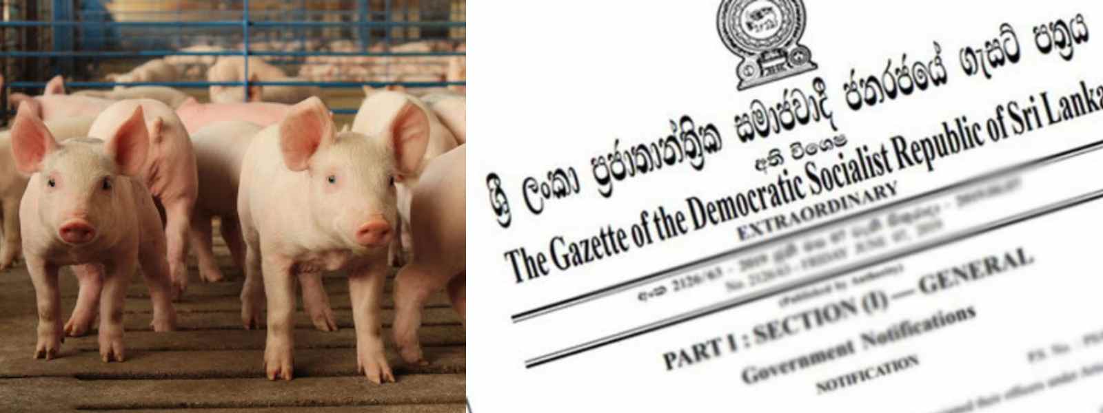 ඌරු වෛරසය හේතුවෙන් අතිවිශේෂ ගැසට් නිවේදනයක්